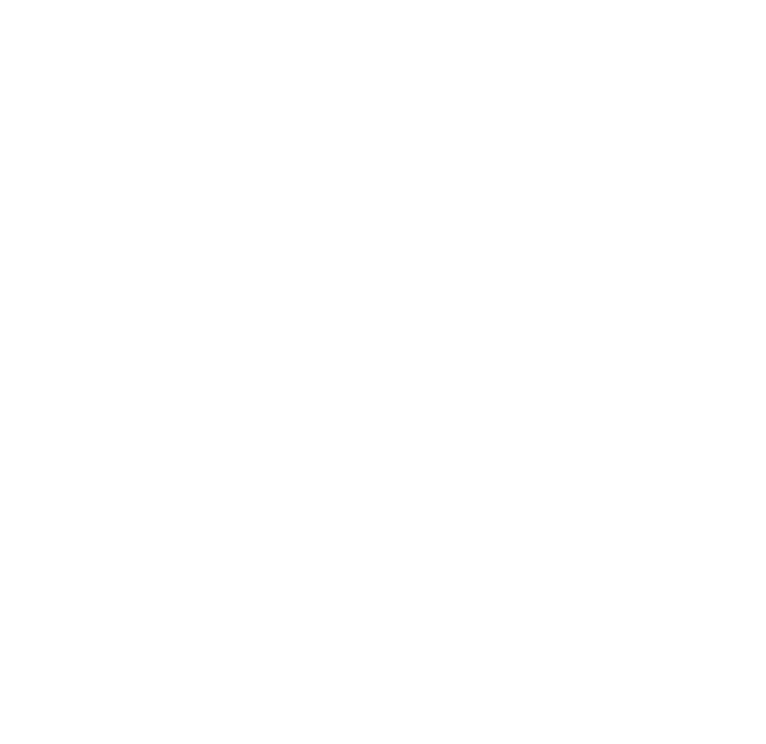 Cisco partner